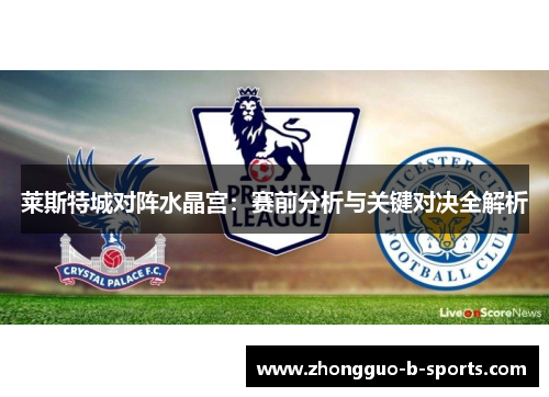 莱斯特城对阵水晶宫:赛前分析与关键对决全解析 莱斯特城对阵水晶宫:赛前分析与关键对决全解析