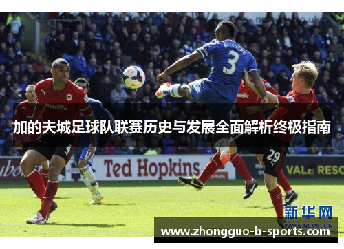 加的夫城足球队联赛历史与发展全面解析终极指南