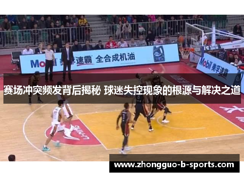 赛场冲突频发背后揭秘 球迷失控现象的根源与解决之道