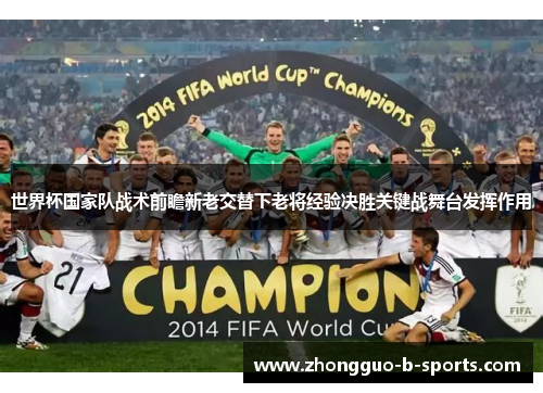 世界杯国家队战术前瞻新老交替下老将经验决胜关键战舞台发挥作用