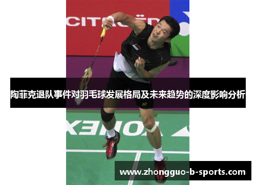 陶菲克退队事件对羽毛球发展格局及未来趋势的深度影响分析 陶菲克退队事件对羽毛球发展格局及未来趋势的深度影响分析