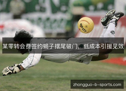 某零转会费签约蝎子摆尾破门,低成本引援见效 某零转会费签约蝎子摆尾破门,低成本引援见效